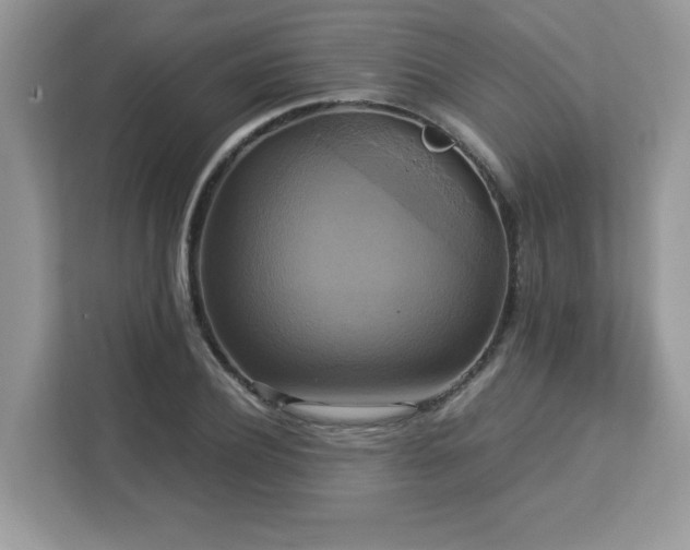 X0000113110932200908281405