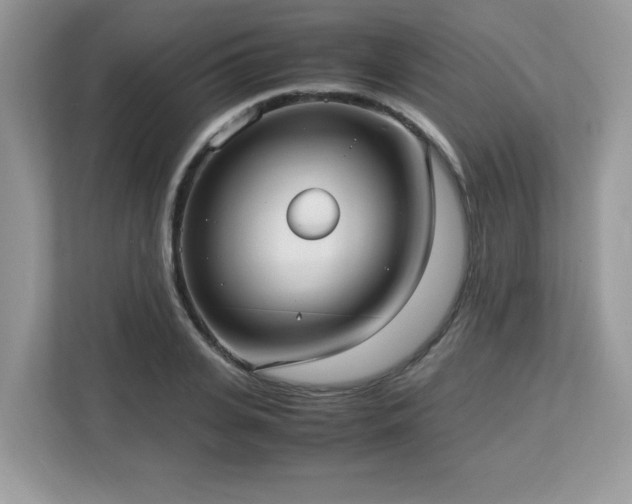 X0000113110935200908281405