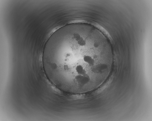 X0000113110937200908281405