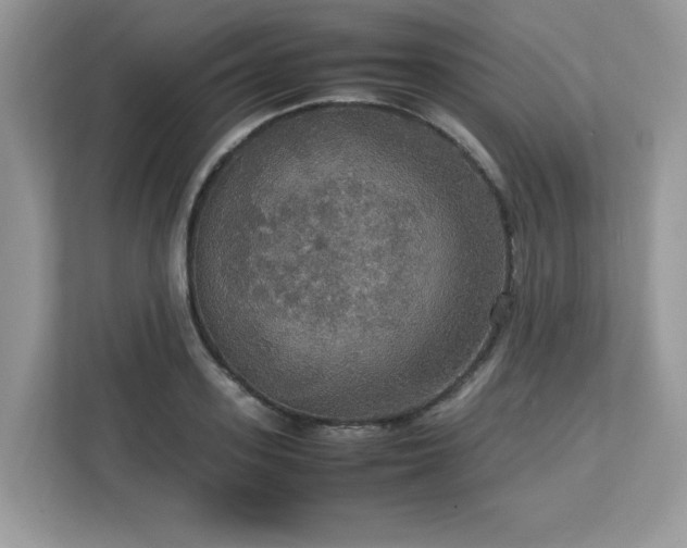 X0000113110939200908281406