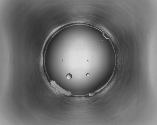 X0000113110940200908281406