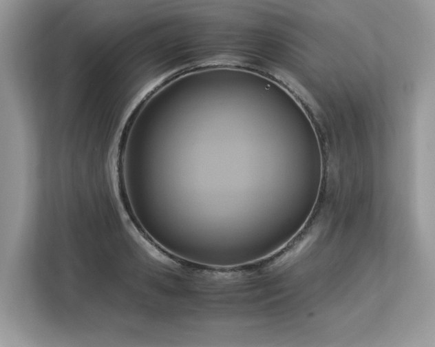 X0000113110941200908281406