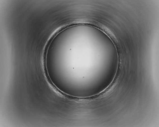 X0000113110942200908281406