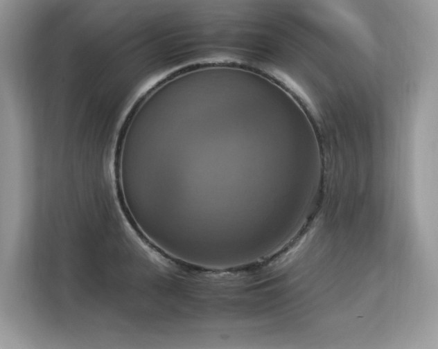 X0000113110943200908281406