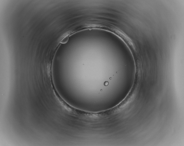 X0000113110945200908281406