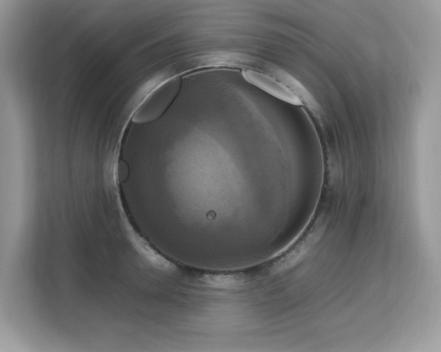 X0000113110946200908281406