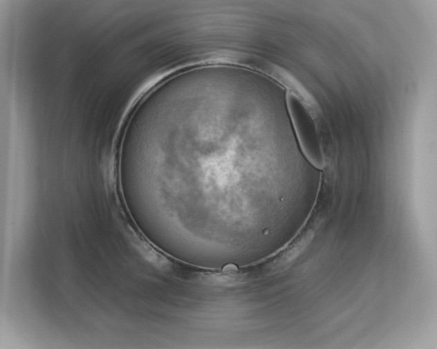 X0000113110948200908281406