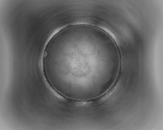 X0000113110949200908281406