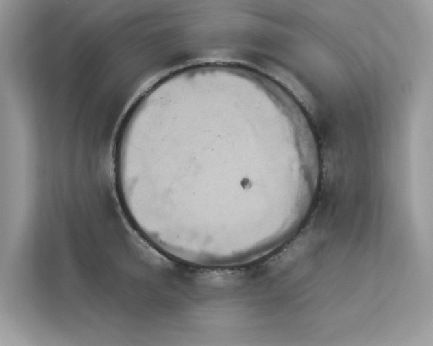 X0000113110950200908281406