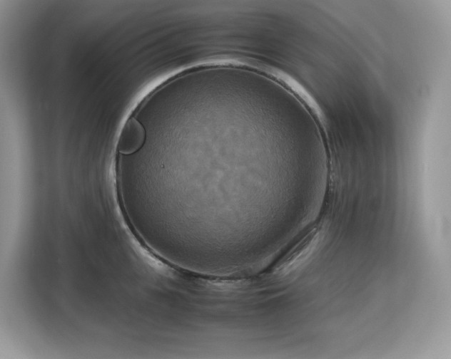 X0000113110951200908281406