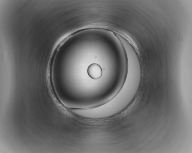 X0000113110952200908281406