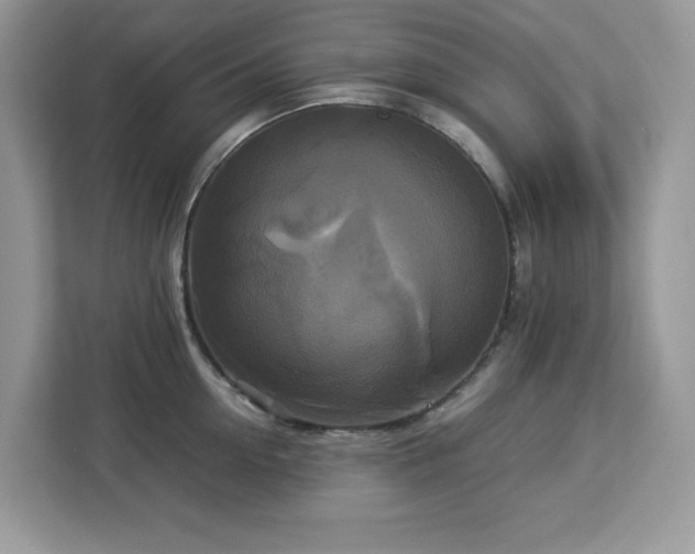 X0000113110954200908281406