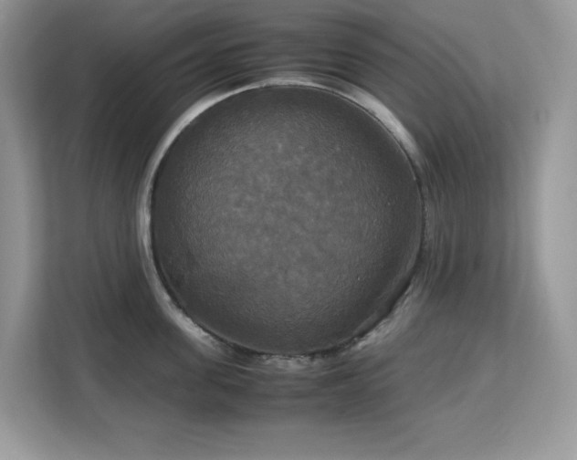 X0000113110955200908281406