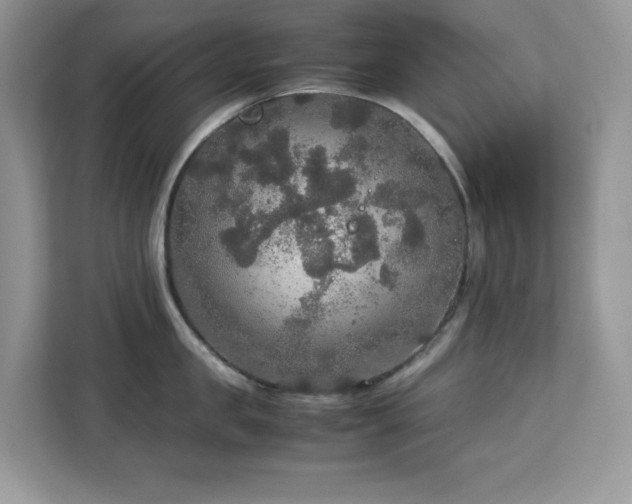 X0000113110957200908281406