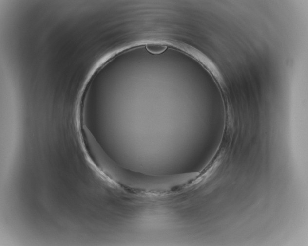 X0000113110958200908281406