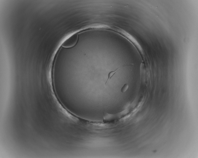 X0000113110959200908281406