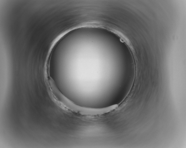 X0000113110960200908281406