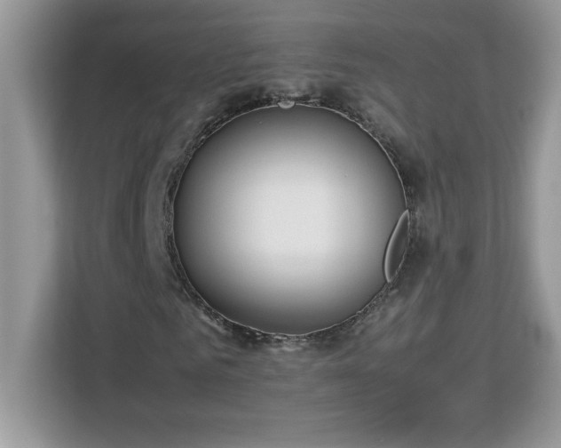 X0000113110961200908281405