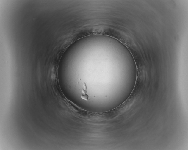 X0000113110962200908281405