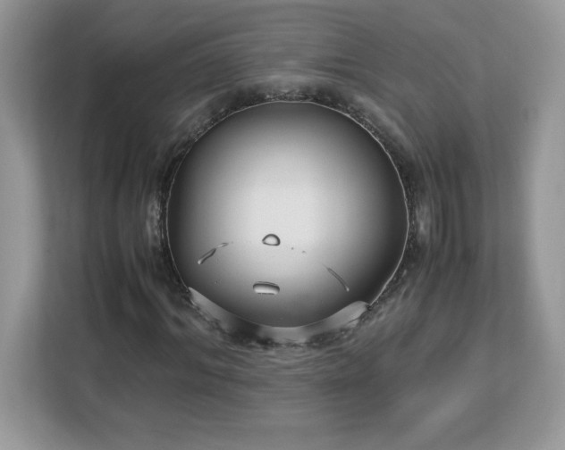 X0000113110964200908281405