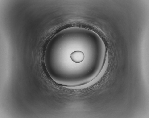 X0000113110965200908281405