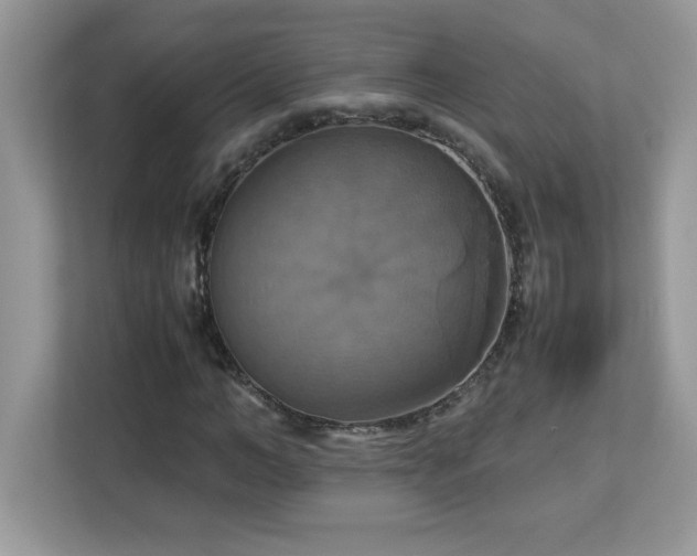 X0000113110966200908281405