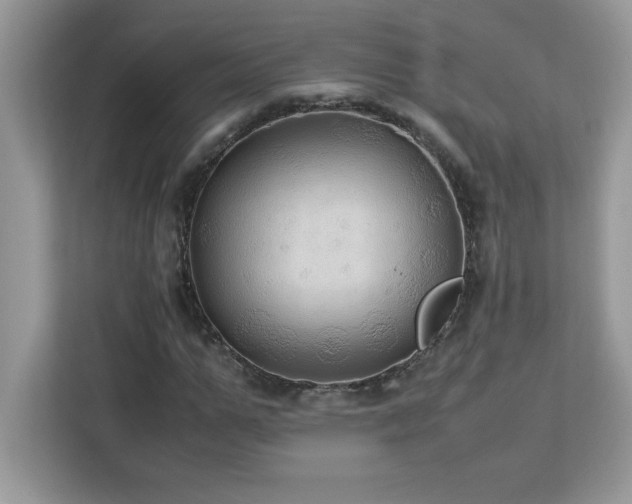 X0000113110967200908281405