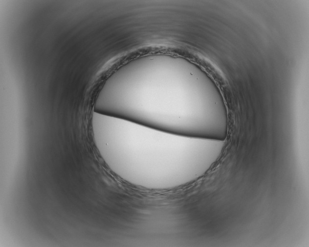 X0000113110968200908281405