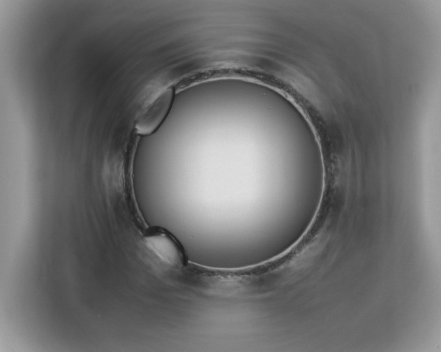 X0000113110969200908281405