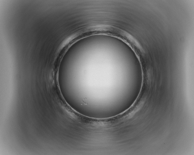 X0000113110970200908281405