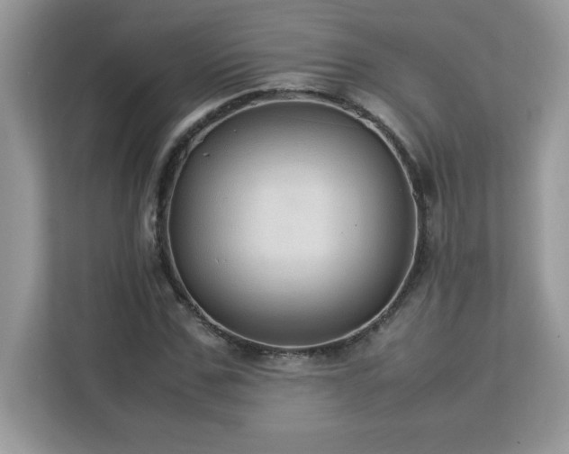 X0000113110971200908281405