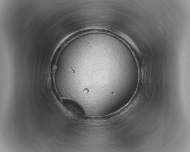 X0000113110972200908281405