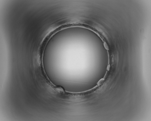 X0000113110973200908281405