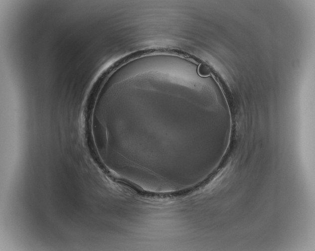 X0000113110975200908281405