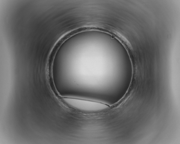 X0000113110976200908281405