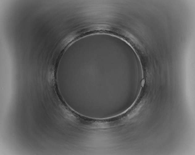 X0000113110977200908281405