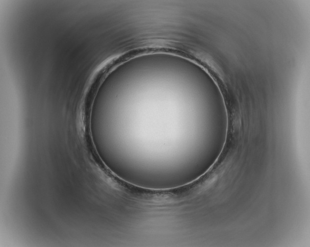 X0000113110979200908281405
