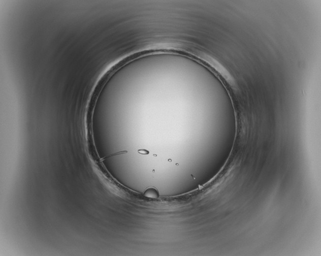 X0000113110980200908281405