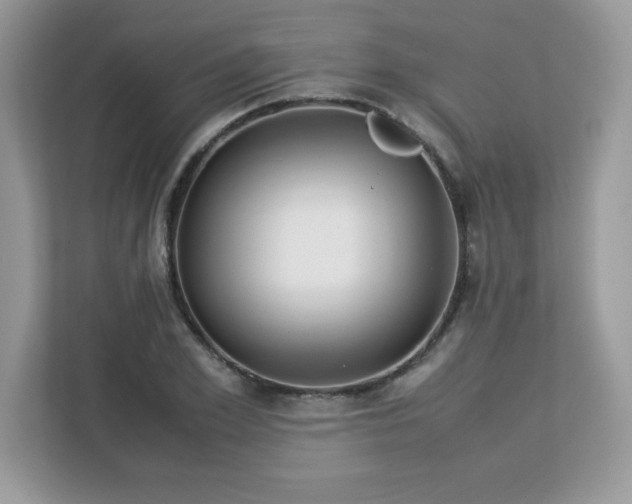 X0000113110981200908281405