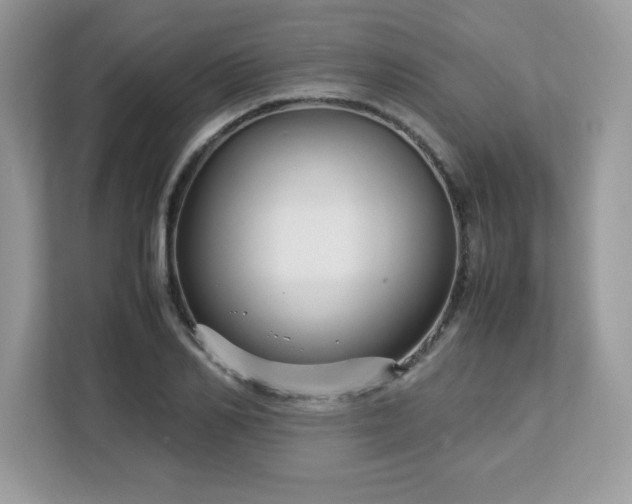 X0000113110982200908281405