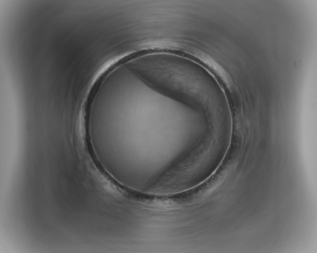 X0000113110983200908281405