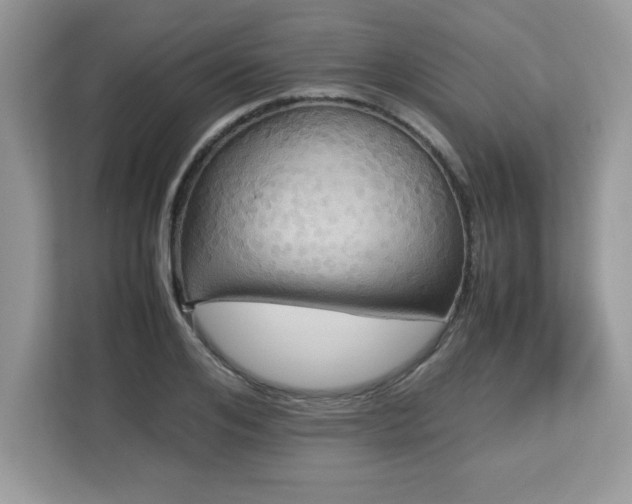 X0000113110984200908281405