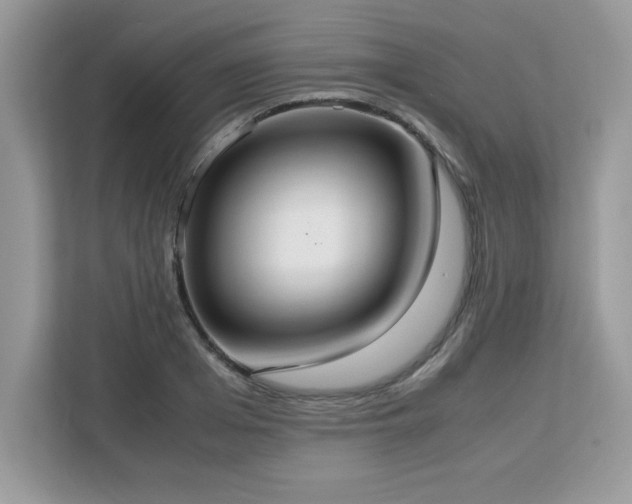 X0000113110985200908281405