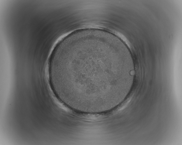 X0000113110987200908281405