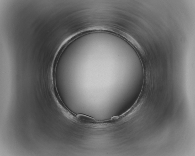 X0000113110988200908281405