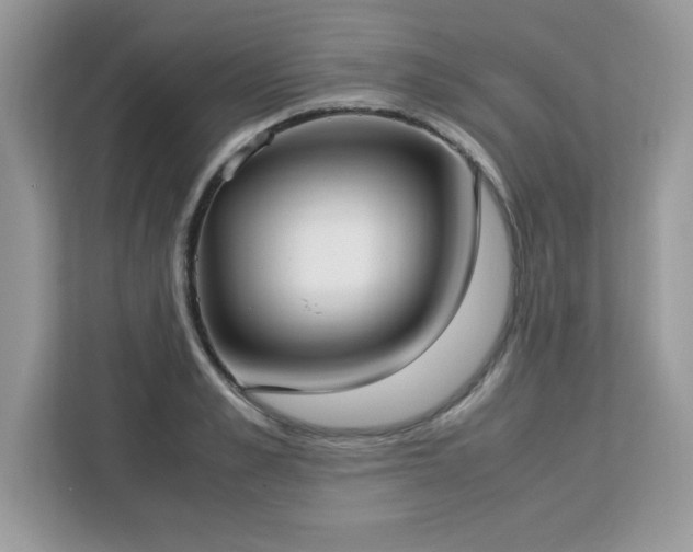 X0000113110989200908281405