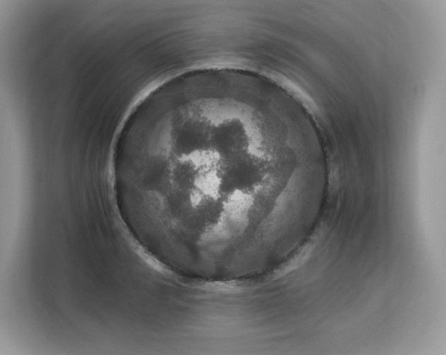 X0000113110990200908281405