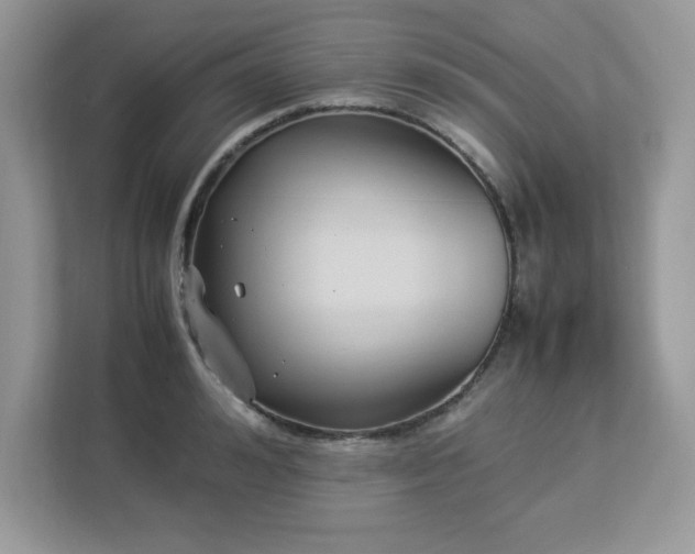 X0000113110992200908281405