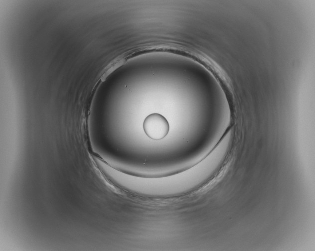 X0000113110993200908281405