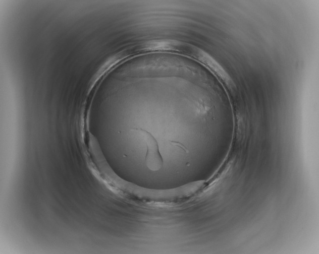 X0000113110994200908281405